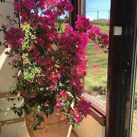 Le Moulin De L`epinay Sainte-Beuve-en-Rivière