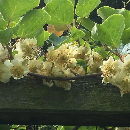 Le Moulin De L`epinay