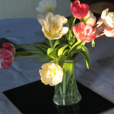 Le Moulin De L`epinay Couette-café