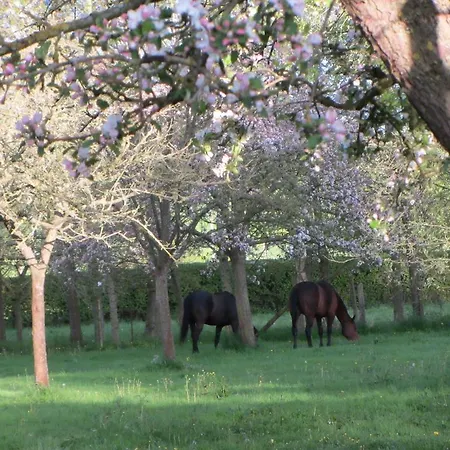 住宿加早餐酒店 Le Moulin De L'epinay