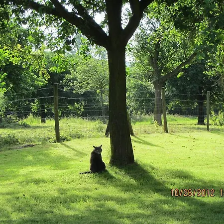 Couette-café Le Moulin De L`epinay 3*