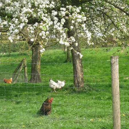 Couette-café Le Moulin De L`epinay 3*