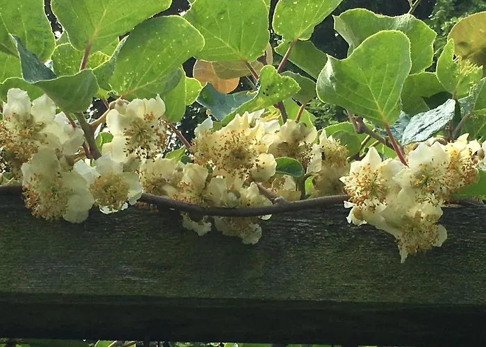 Le Moulin De L'epinay