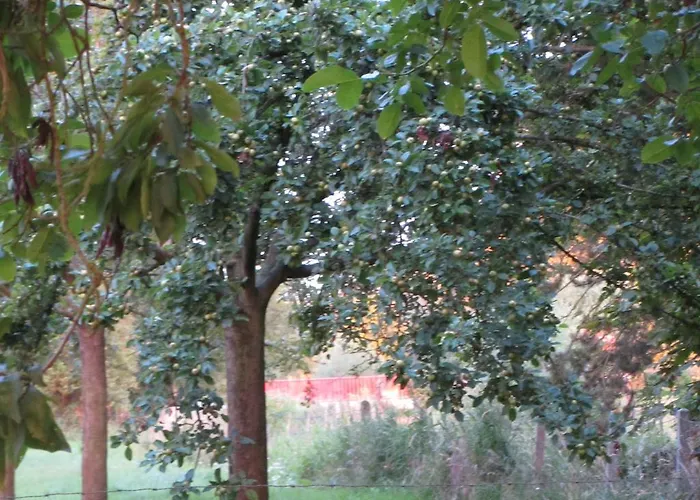 Le Moulin De L'epinay Bed & Breakfast