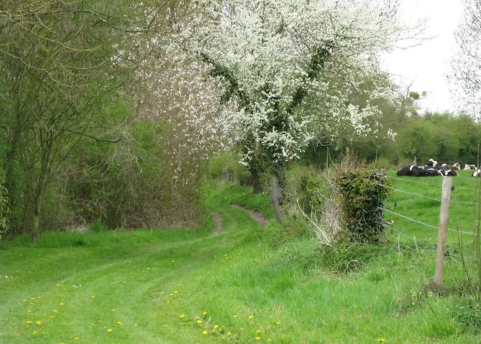 Bed & Breakfast Le Moulin De L'epinay 3*